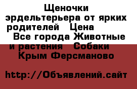 Щеночки эрдельтерьера от ярких родителей › Цена ­ 25 000 - Все города Животные и растения » Собаки   . Крым,Ферсманово